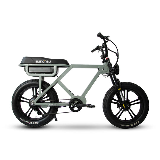 EUNORAU Flash Lite 2.0 52V 750W Rear Drive Triple Battery 220mi
