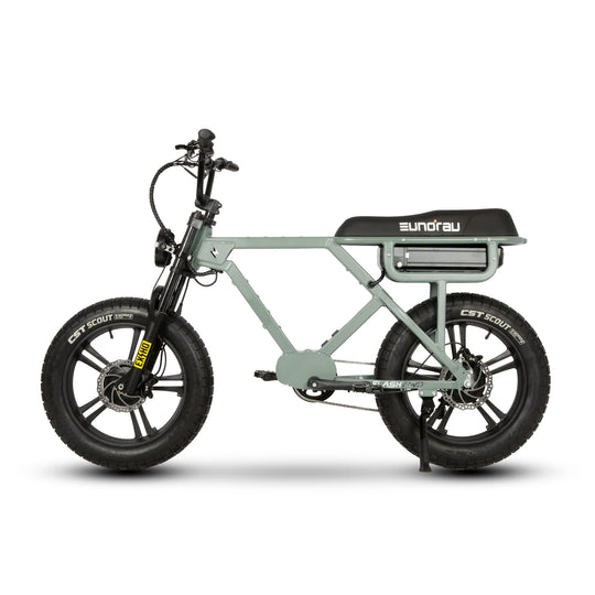 EUNORAU Flash AWD 52V 1500W Dual Motor Triple Battery eBike 220mi