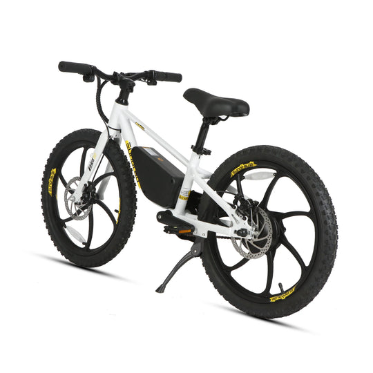 EUNORAU eKids20 24V 250W Kids Electric Bike 3 Speeds Ages 8 Plus