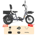 Meet One Breeze Pro 2.0 full suspension fat tire electric trike