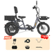 Meet One Breeze Pro 2.0 full suspension fat tire electric trike