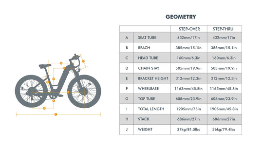 EUNORAU Fat-AWD 3.0 48V Dual 500W Motor Fat Tire eBike 80mi LG