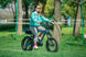 EUNORAU Flash Lite 2.0 52V 750W Rear Drive Triple Battery 220mi