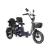 Meet One Pair electric trike with rear passenger seat for two