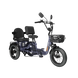 Meet One Pair electric trike with rear passenger seat for two