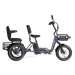 Meet One Pair electric trike with rear passenger seat for two