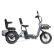Meet One Pair electric trike with rear passenger seat for two