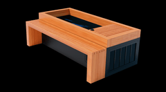Medical Saunas Frozen 2 Cold Plunge with Bar Counter and Step